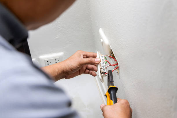 Best Licensed Electrician  in Reeds Spring, MO
